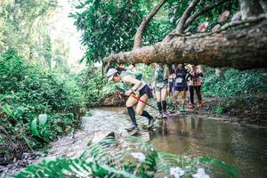 BIB: 
                            <button type="button" onclick="openModal(25477655)" class="btn btn-primary btn-sm float-right btn-popup" data-toggle="modal" data-target=".modal-high-quality">
                        <i class="fas fa-shopping-cart"></i> Add to Cart
                    </button>
                                            <button type="button" onclick="isThisMe(25477655, true)" class="btn btn-success btn-sm float-right btn-popup btn-isme hidden" data-toggle="tooltip" data-placement="bottom" title="นี่คือรูปของคุณใช่ไหม คลิกที่นี่เพื่อเอาเข้าอัลบั้ม">
                        <i class="fas fa-plus"></i> Add to album
                    </button>
                    <button type="button" onclick="isThisMe(25477655, false)" class="btn btn-warning btn-sm float-right btn-popup btn-isnotme hidden">
                        <i class="fas fa-ban"></i> Remove from album
                    </button>